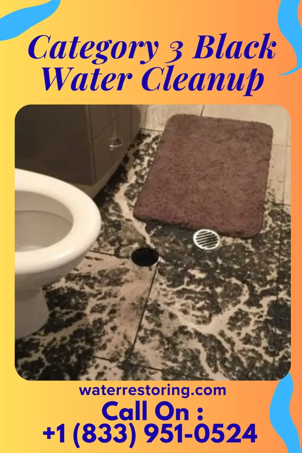 Category 3 Black Water Cleanup in Penn Estates, PA