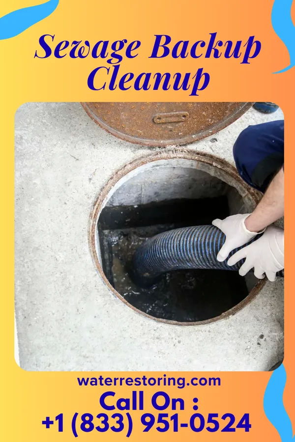 Sewage Backup Cleanup in Penn Estates, PA