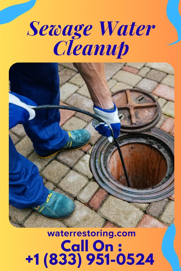 Sewage Water Cleanup in Penn Estates, PA
